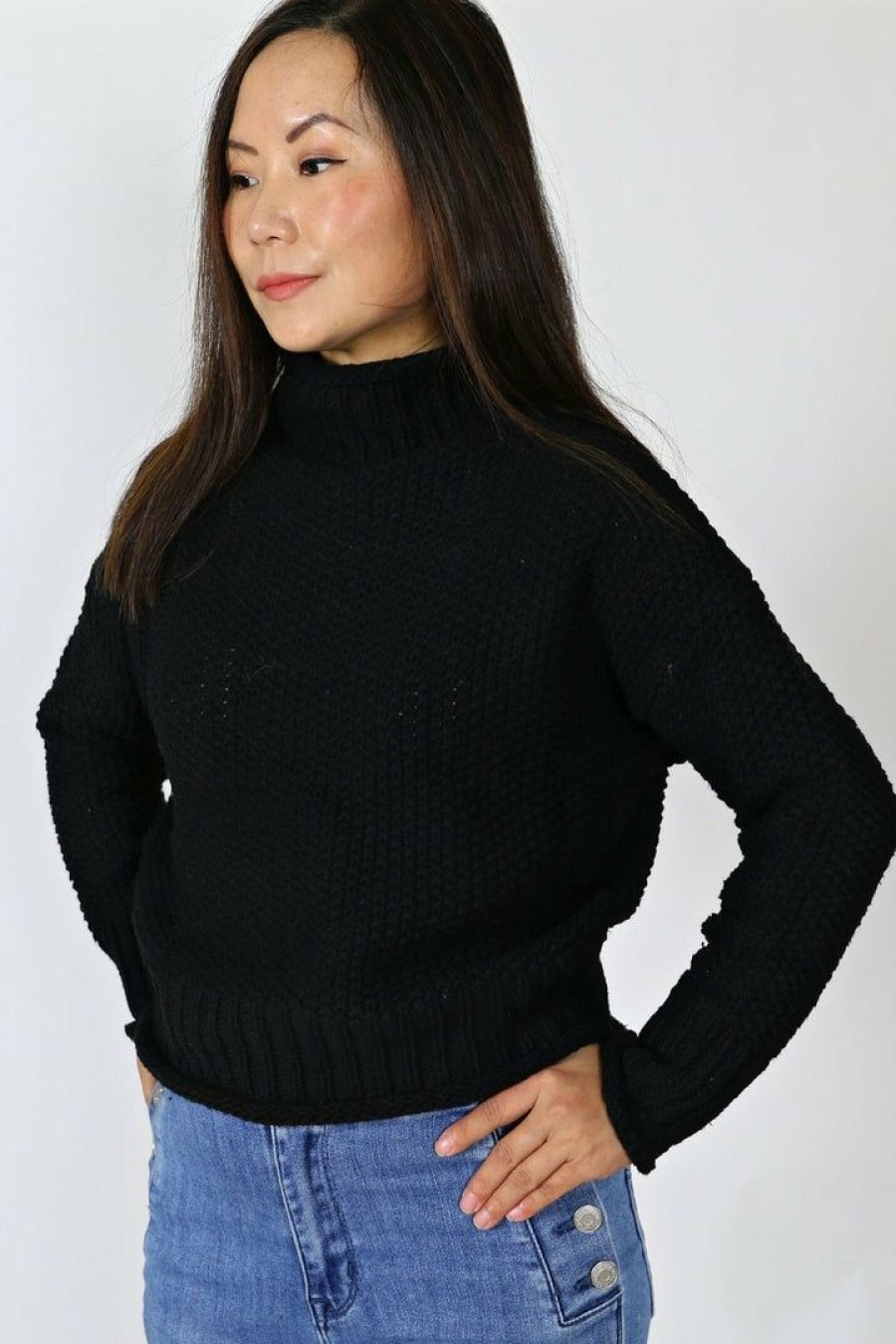 Tops & Sweaters * | Upmost Petite Turtle Neck Sweater (Black) Tops & Sweaters